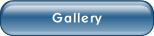 Gallery.